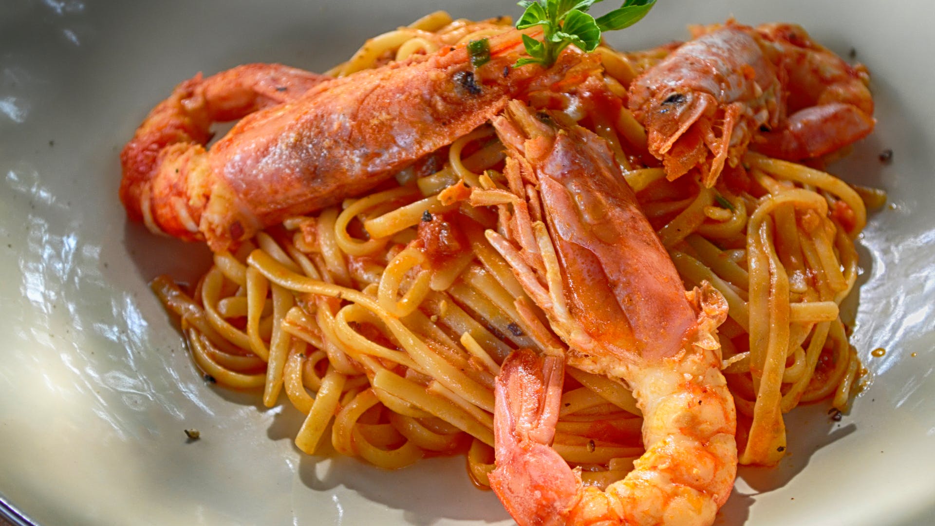 shrimp